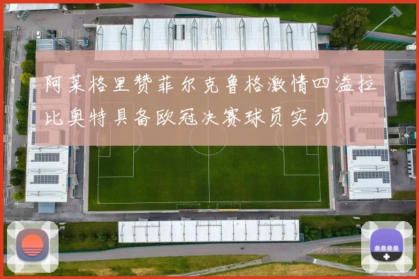 阿莱格里赞菲尔克鲁格激情四溢拉比奥特具备欧冠决赛球员实力